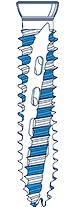 Dual-pitch threaded screws