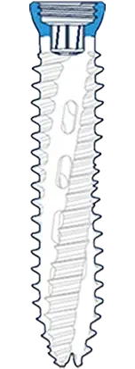 Canulated Screw Head
